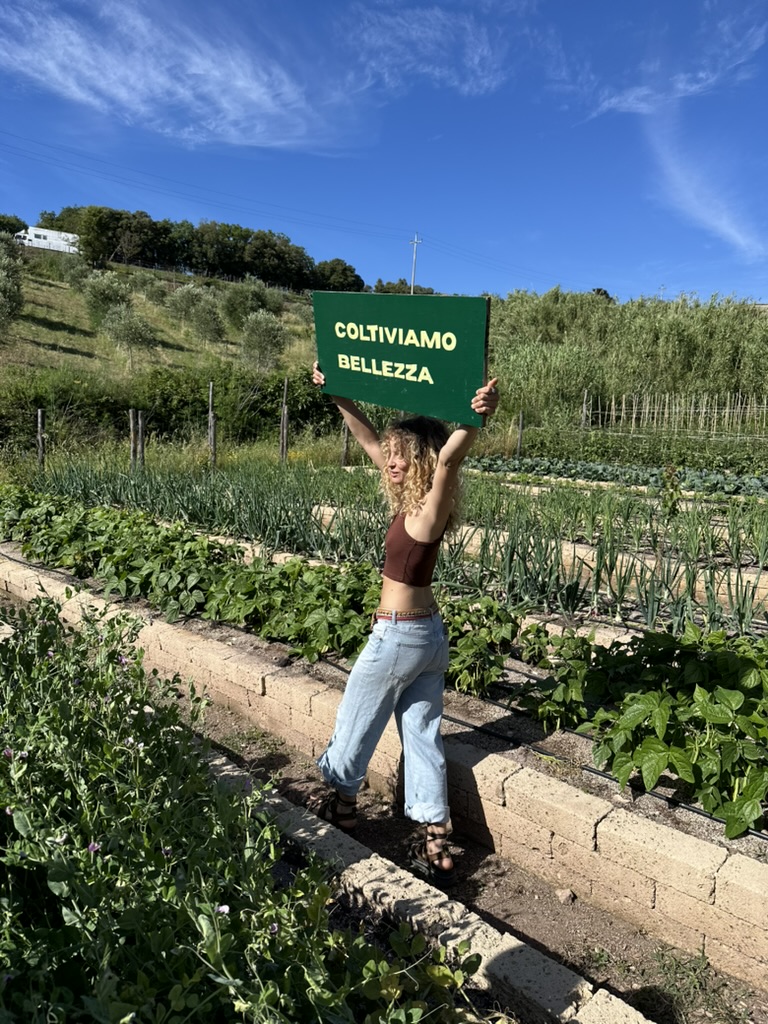 Orto in cassoni di mattoni di tufo con fagioli e cipolle